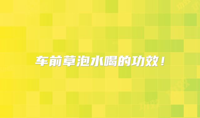 车前草泡水喝的功效!