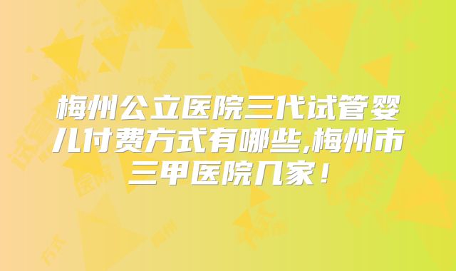 梅州公立医院三代试管婴儿付费方式有哪些,梅州市三甲医院几家！