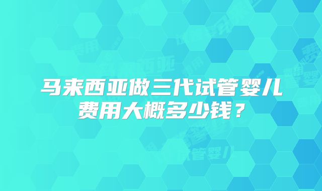马来西亚做三代试管婴儿费用大概多少钱？