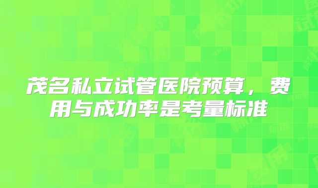 茂名私立试管医院预算，费用与成功率是考量标准