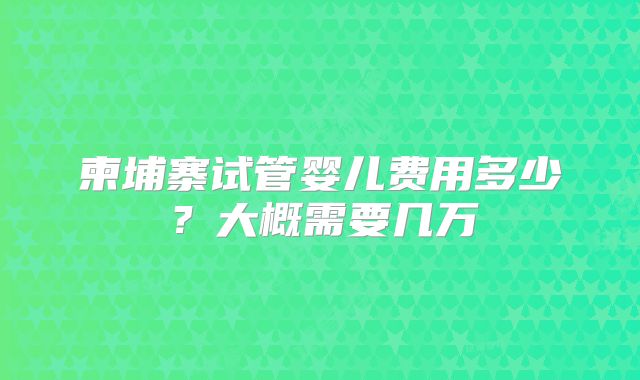 柬埔寨试管婴儿费用多少？大概需要几万