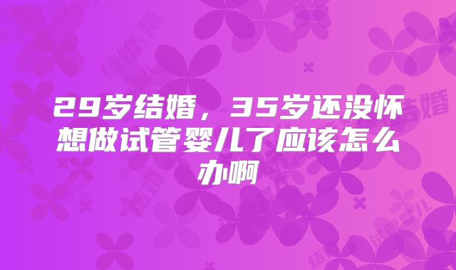 29岁结婚，35岁还没怀想做试管婴儿了应该怎么办啊