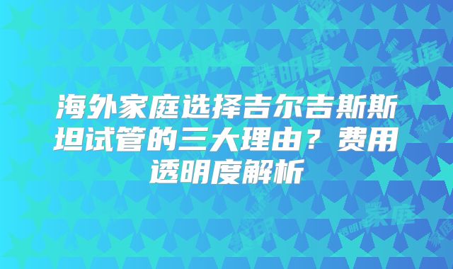 海外家庭选择吉尔吉斯斯坦试管的三大理由？费用透明度解析