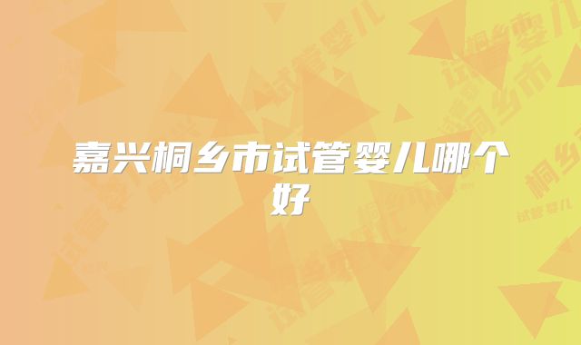 嘉兴桐乡市试管婴儿哪个好