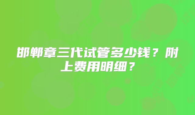 邯郸章三代试管多少钱？附上费用明细？