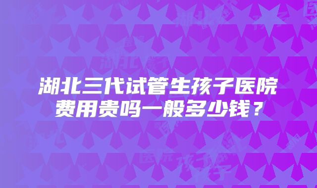 湖北三代试管生孩子医院费用贵吗一般多少钱？