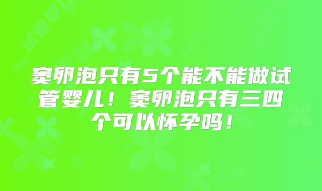 窦卵泡只有5个能不能做试管婴儿！窦卵泡只有三四个可以怀孕吗！