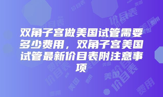 双角子宫做美国试管需要多少费用,双角子宫美国试管最新价目表附注意事项