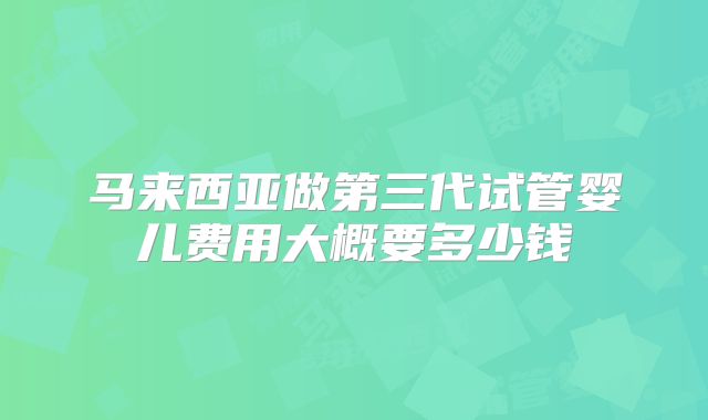 马来西亚做第三代试管婴儿费用大概要多少钱