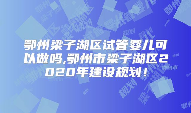 鄂州梁子湖区试管婴儿可以做吗,鄂州市梁子湖区2020年建设规划!