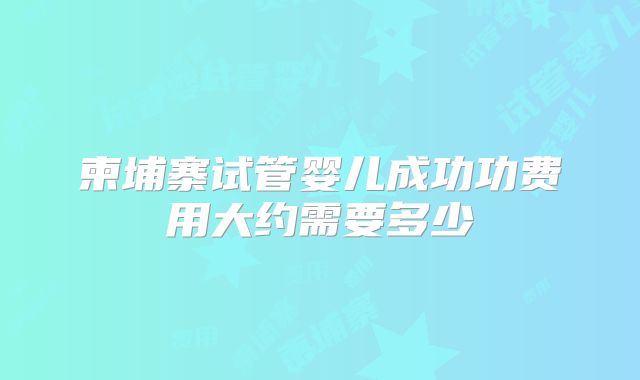 柬埔寨试管婴儿成功功费用大约需要多少