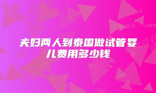 夫妇两人到泰国做试管婴儿费用多少钱