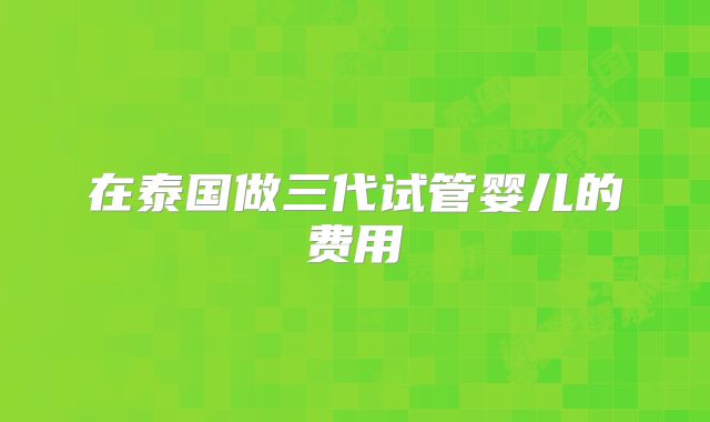在泰国做三代试管婴儿的费用