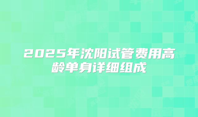 2025年沈阳试管费用高龄单身详细组成