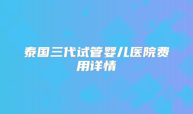 泰国三代试管婴儿医院费用详情