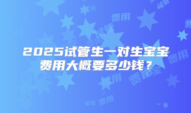 2025试管生一对生宝宝费用大概要多少钱？