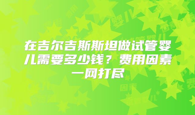 在吉尔吉斯斯坦做试管婴儿需要多少钱？费用因素一网打尽