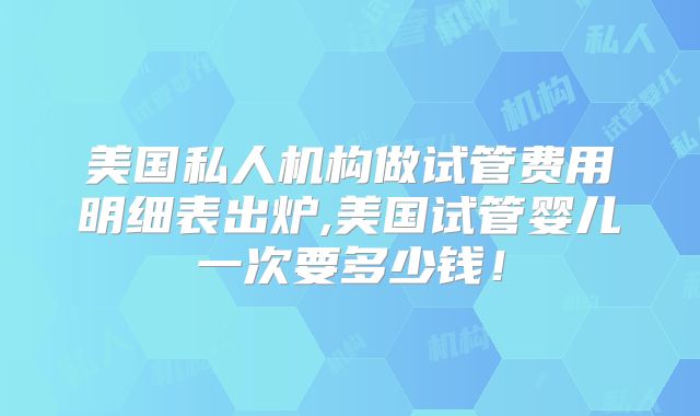美国私人机构做试管费用明细表出炉,美国试管婴儿一次要多少钱!