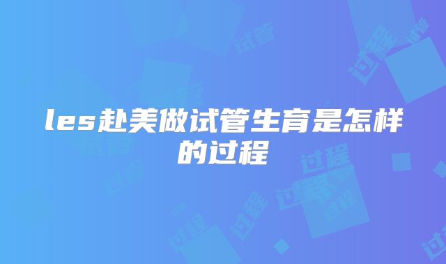les赴美做试管生育是怎样的过程