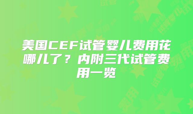 美国CEF试管婴儿费用花哪儿了？内附三代试管费用一览