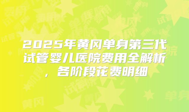 2025年黄冈单身第三代试管婴儿医院费用全解析，各阶段花费明细