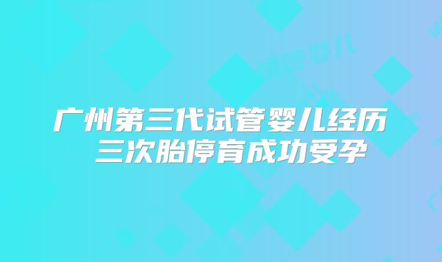 广州第三代试管婴儿经历 三次胎停育成功受孕