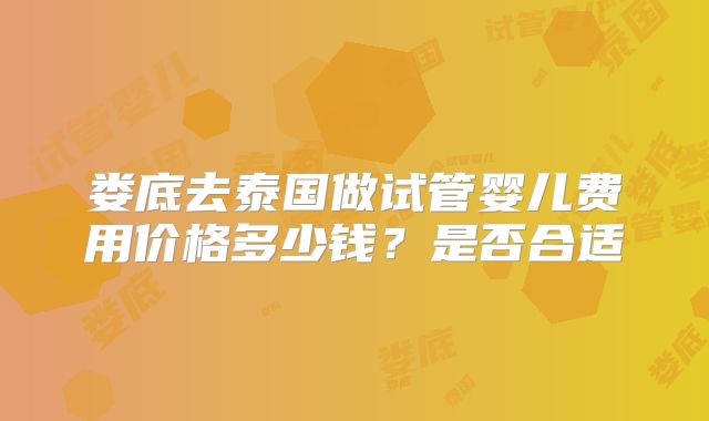 娄底去泰国做试管婴儿费用价格多少钱？是否合适
