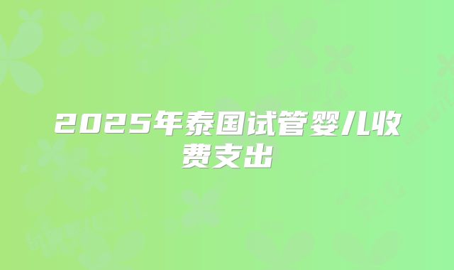 2025年泰国试管婴儿收费支出