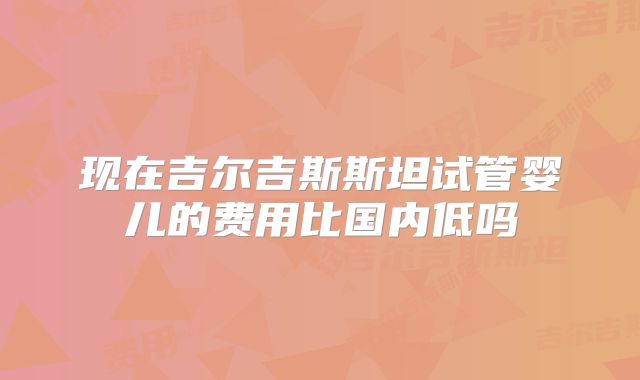 现在吉尔吉斯斯坦试管婴儿的费用比国内低吗