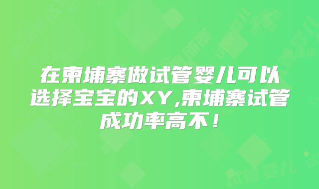 在柬埔寨做试管婴儿可以选择宝宝的XY,柬埔寨试管成功率高不!