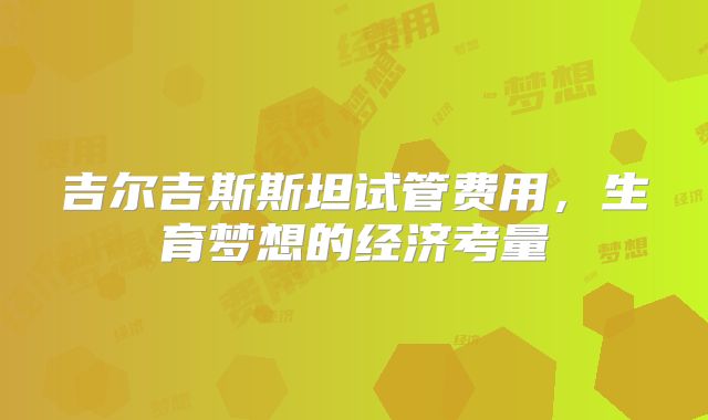 吉尔吉斯斯坦试管费用，生育梦想的经济考量