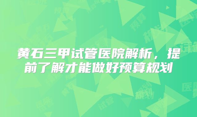 黄石三甲试管医院解析，提前了解才能做好预算规划