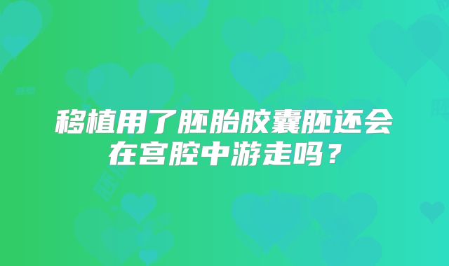 移植用了胚胎胶囊胚还会在宫腔中游走吗？