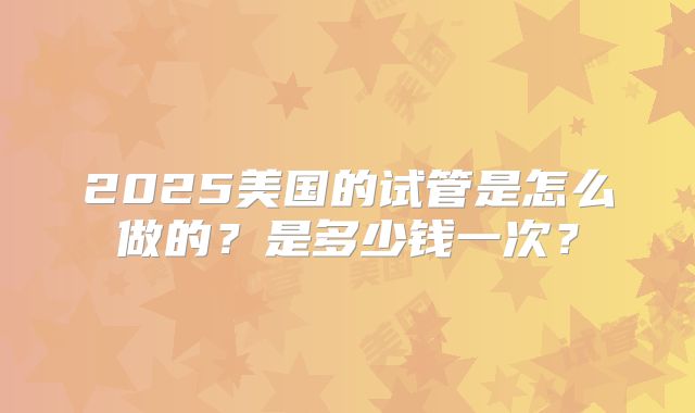 2025美国的试管是怎么做的？是多少钱一次？