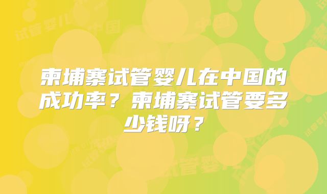 柬埔寨试管婴儿在中国的成功率？柬埔寨试管要多少钱呀？