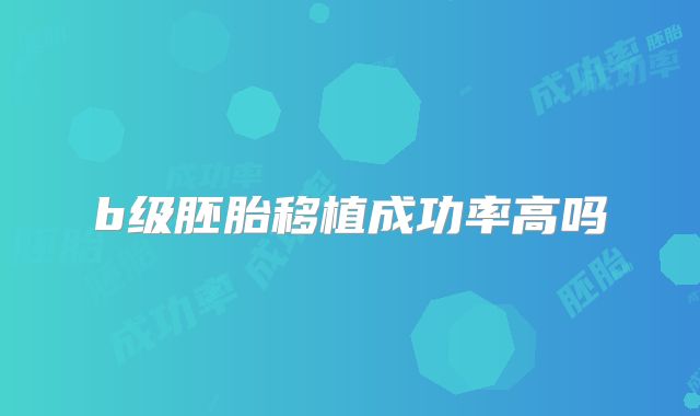 b级胚胎移植成功率高吗