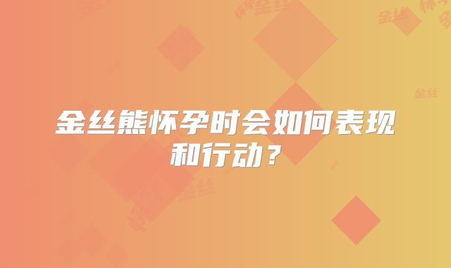 金丝熊怀孕时会如何表现和行动?