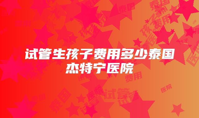 试管生孩子费用多少泰国杰特宁医院