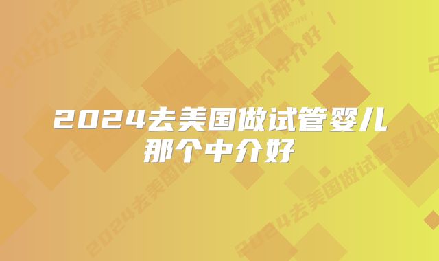2024去美国做试管婴儿那个中介好