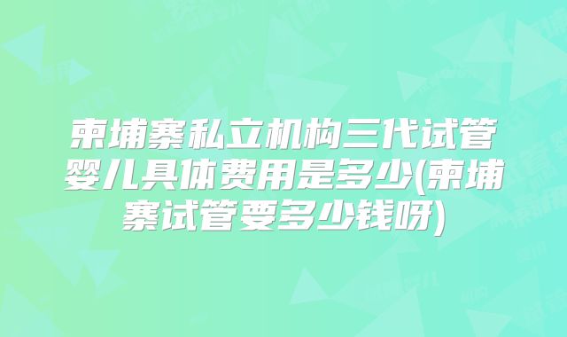 柬埔寨私立机构三代试管婴儿具体费用是多少(柬埔寨试管要多少钱呀)