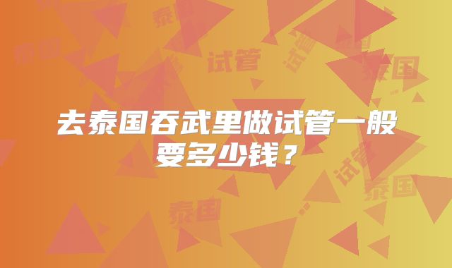 去泰国吞武里做试管一般要多少钱?