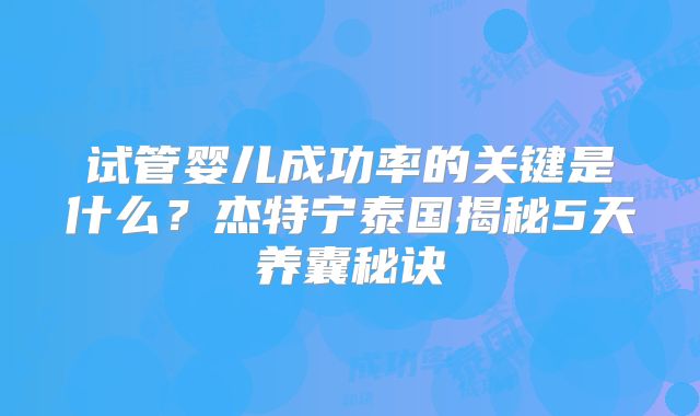 试管婴儿成功率的关键是什么?杰特宁泰国揭秘5天养囊秘诀