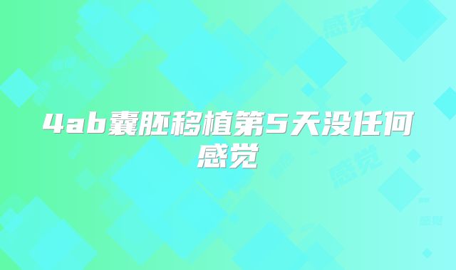 4ab囊胚移植第5天没任何感觉