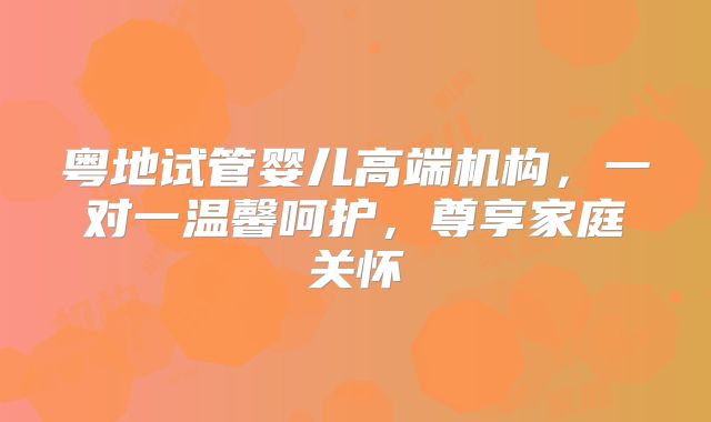 粤地试管婴儿高端机构，一对一温馨呵护，尊享家庭关怀
