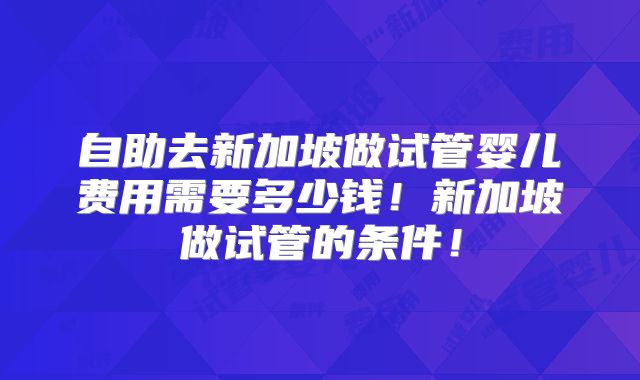 自助去新加坡做试管婴儿费用需要多少钱！新加坡做试管的条件！