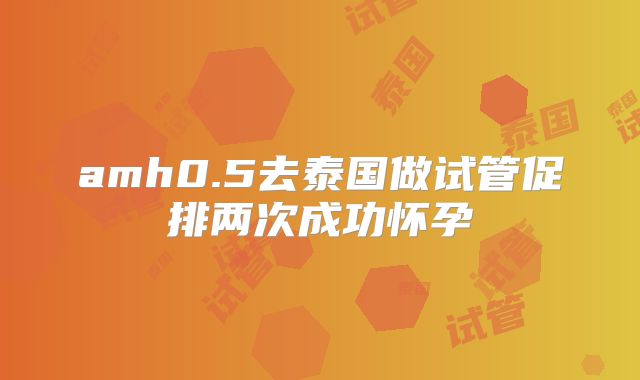 amh0.5去泰国做试管促排两次成功怀孕