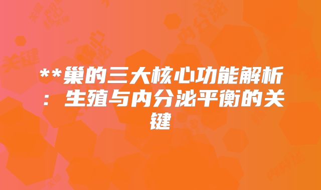 **巢的三大核心功能解析：生殖与内分泌平衡的关键