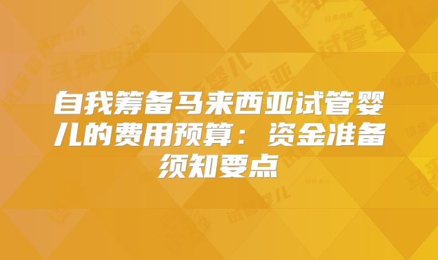 自我筹备马来西亚试管婴儿的费用预算：资金准备须知要点