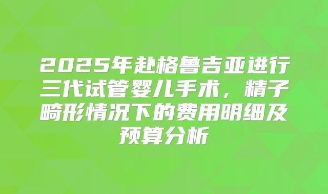 2025年赴格鲁吉亚进行三代试管婴儿手术，精子畸形情况下的费用明细及预算分析
