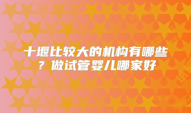 十堰比较大的机构有哪些?做试管婴儿哪家好